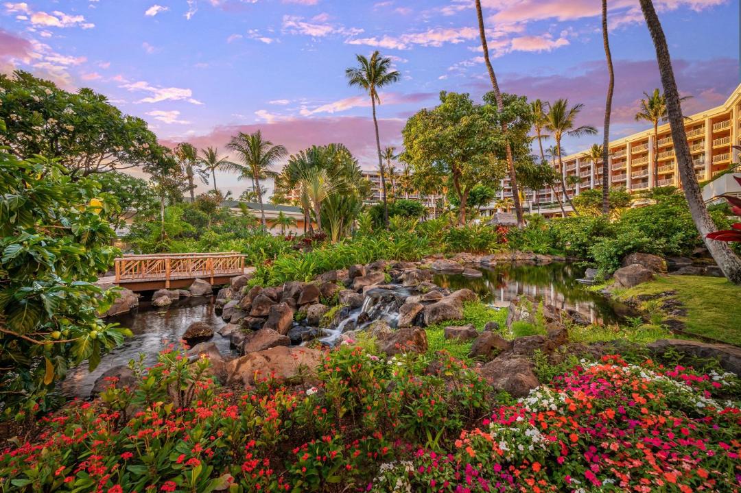 Photo of Others in Wailea