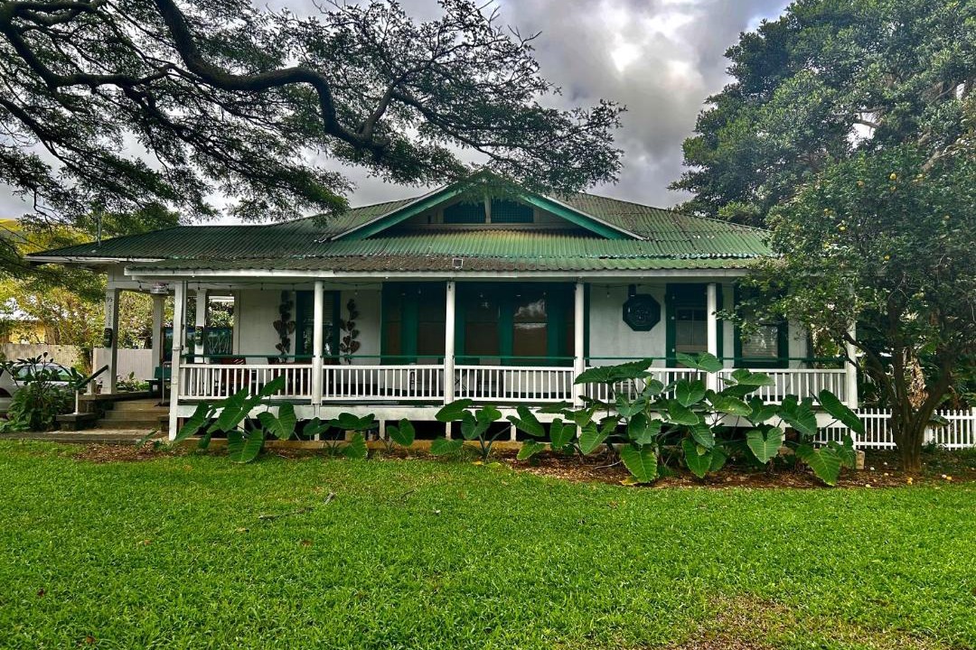 Photo of Others in Naalehu