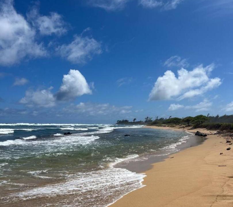 Photo of Others in Hanamaulu
