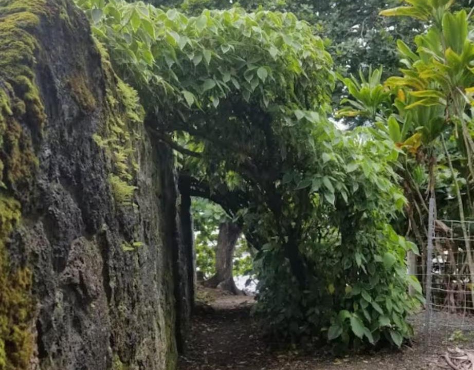 Photo of Others in Keaukaha