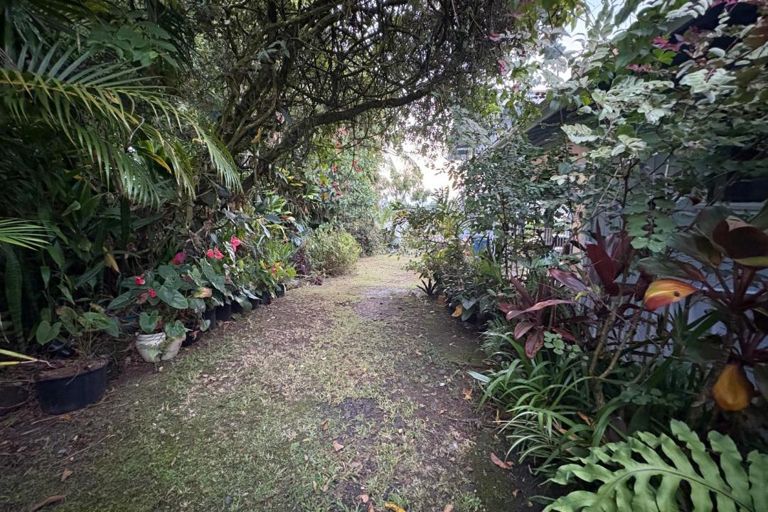 Photo of Others in Hilo