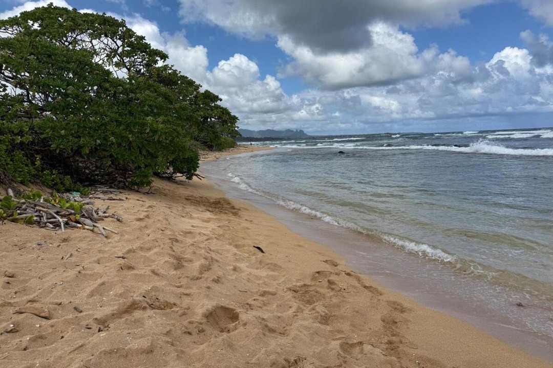Photo of Others in Hanamaulu