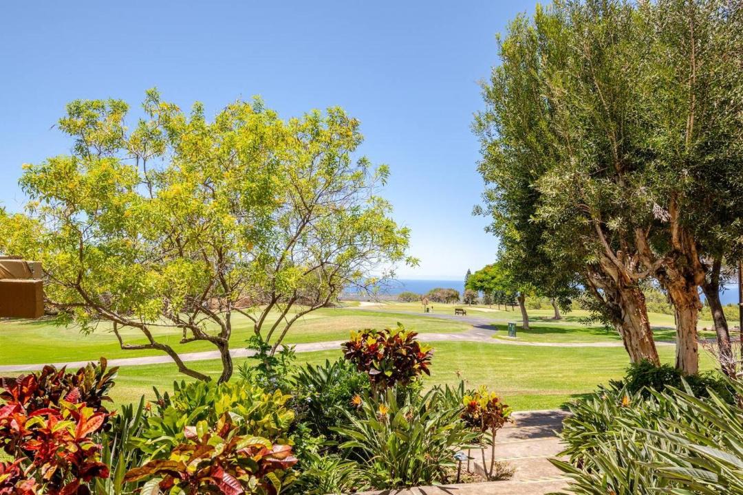 Photo of Others in Waikoloa Village