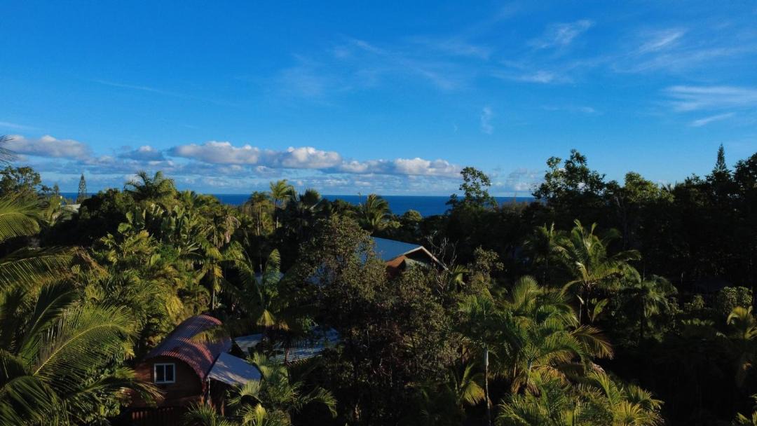 Photo of Others in Puna Palisades
