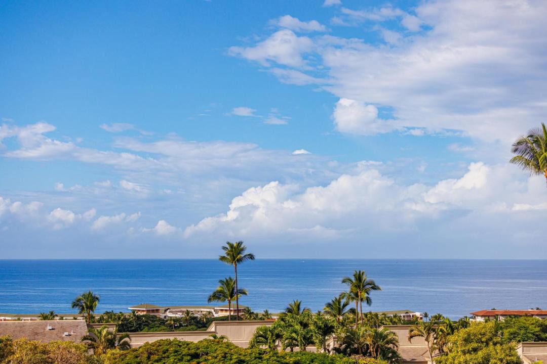 Photo of Others in Wailea