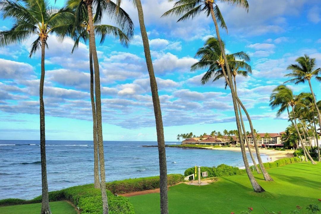 Photo of Others in Poipu