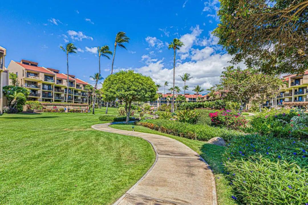 Photo of Others in Kihei