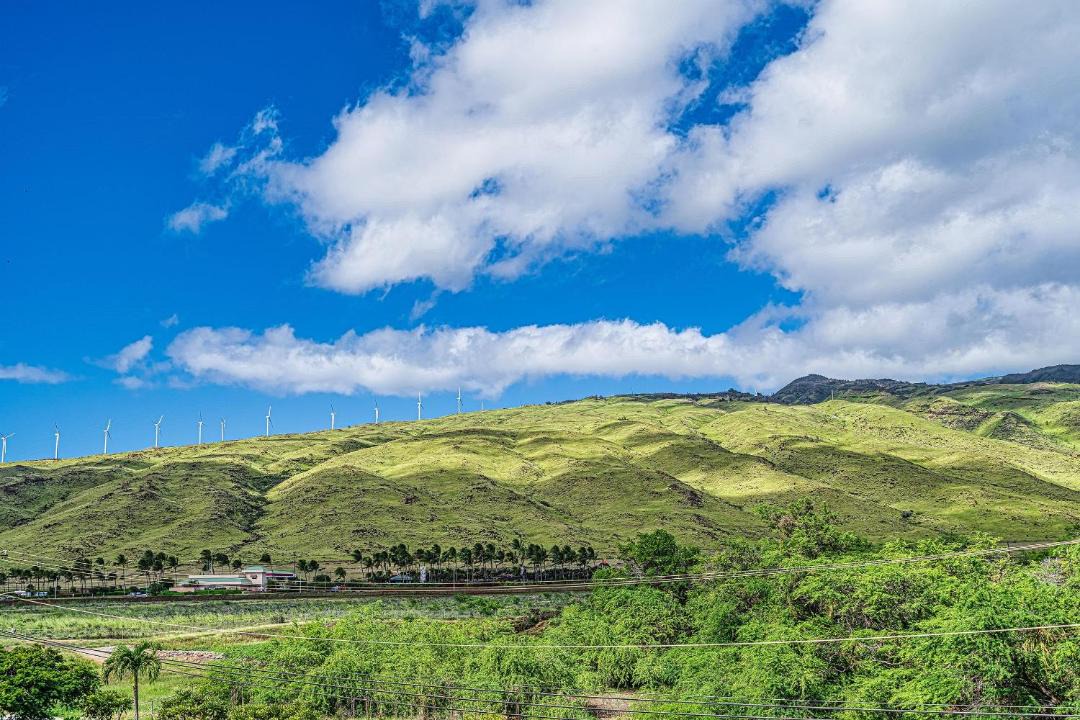 Photo of Others in Maalaea