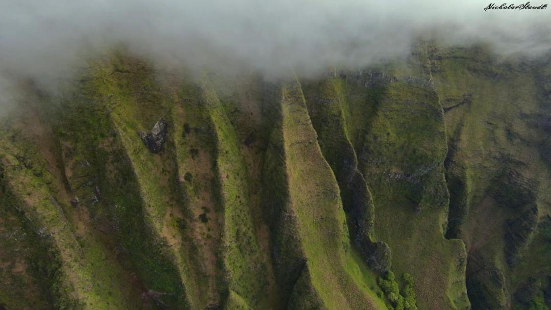 Photo of Others in Wailua