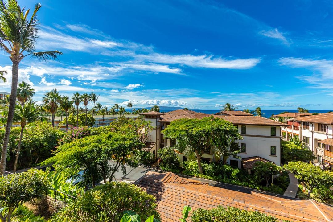 Photo of Others in Wailea