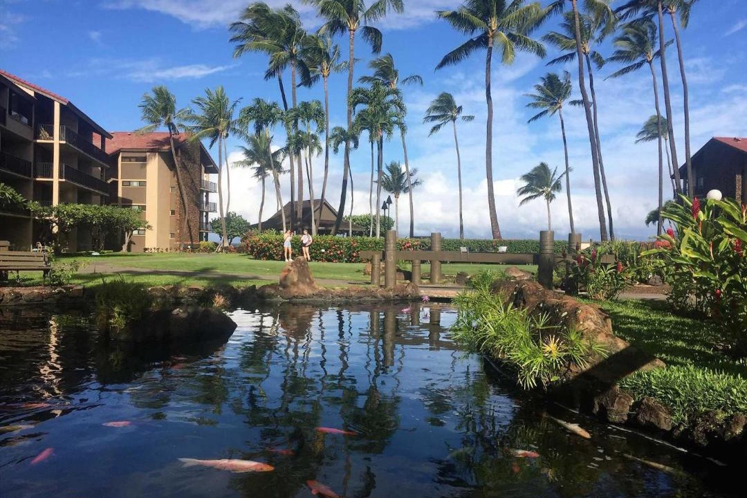 Photo of Others in Honokowai
