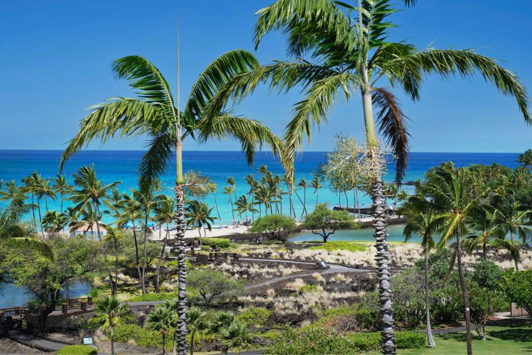 Photo of Others in Waikoloa