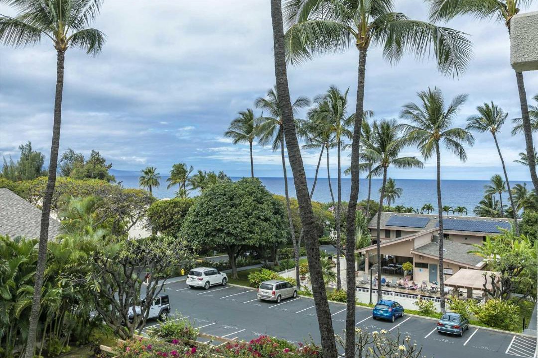Photo of Others in Kihei