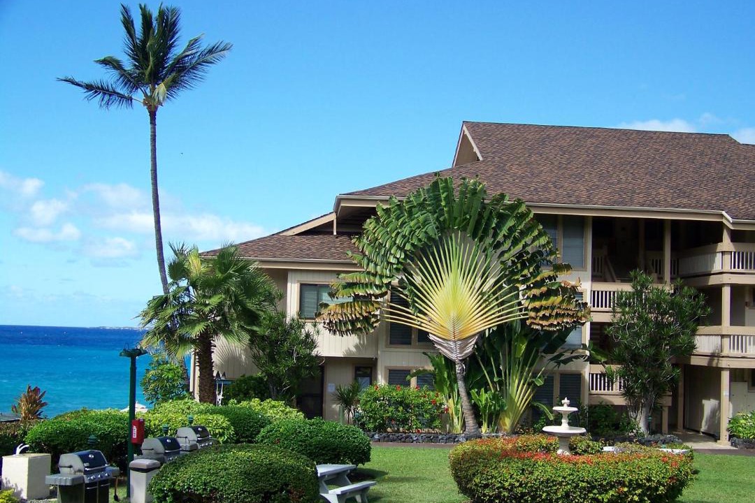 Photo of Others in Kailua-Kona