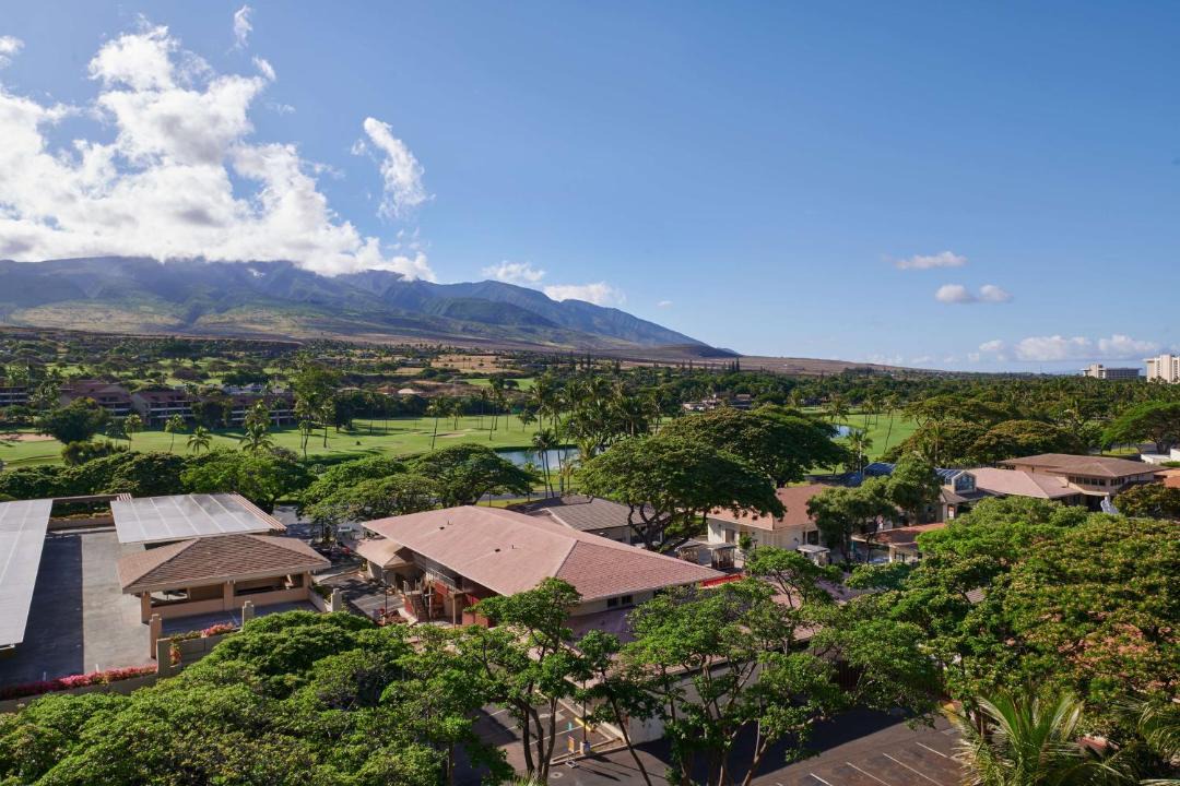 Photo of Others in Kaanapali