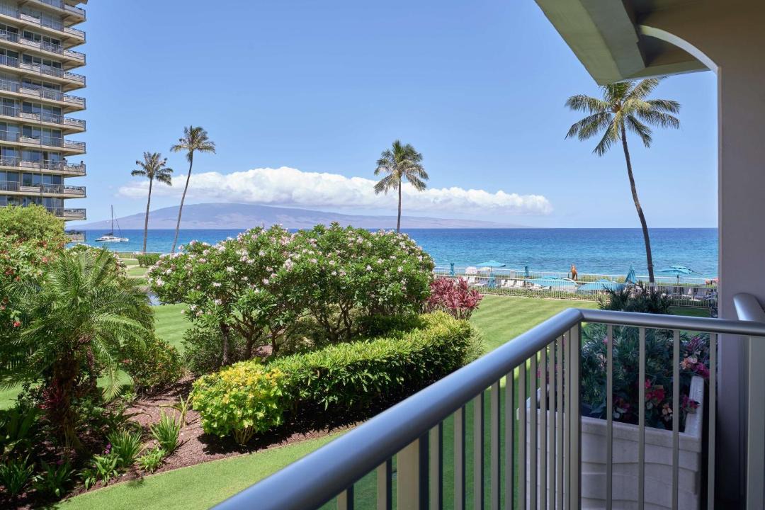 Photo of Others in Kaanapali