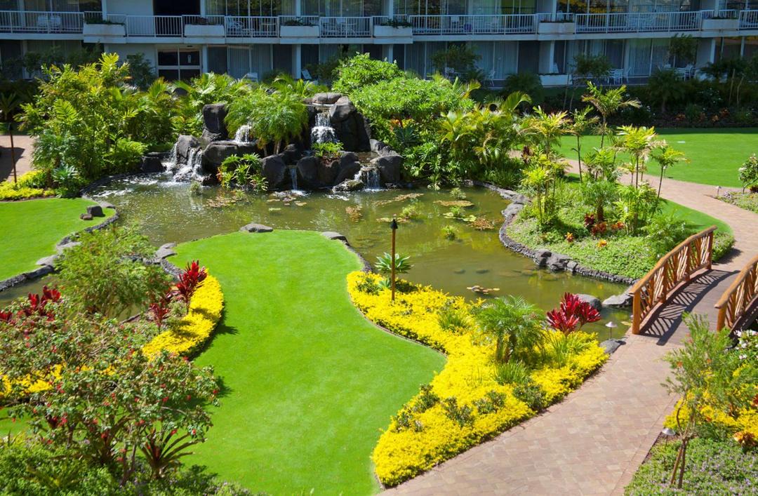 Photo of Others in Kaanapali