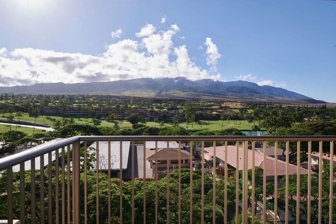 Photo of Others in Kaanapali