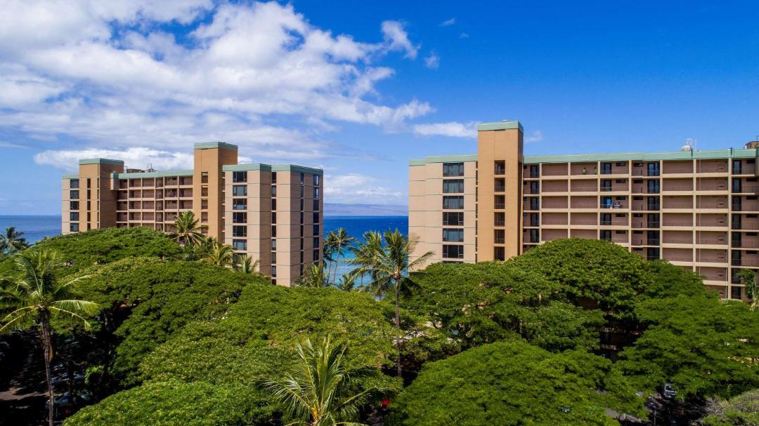 Photo of Others in Honokowai