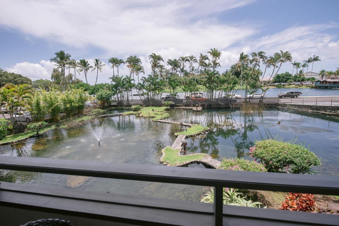Photo of Others in Hilo