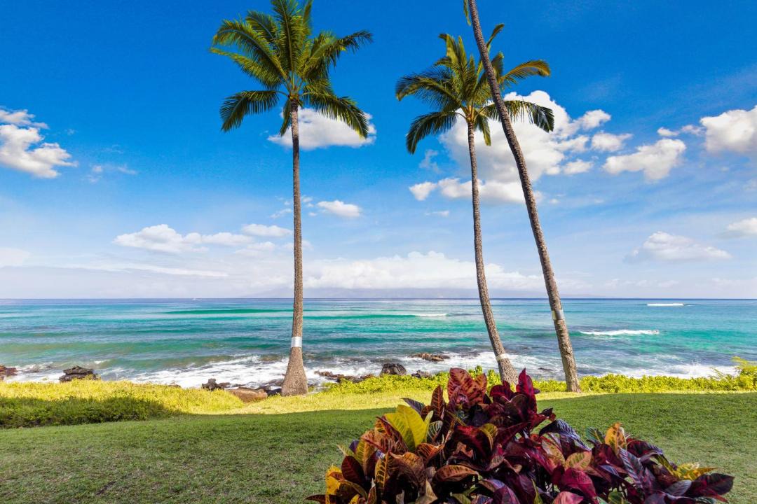Photo of Others in Kahana