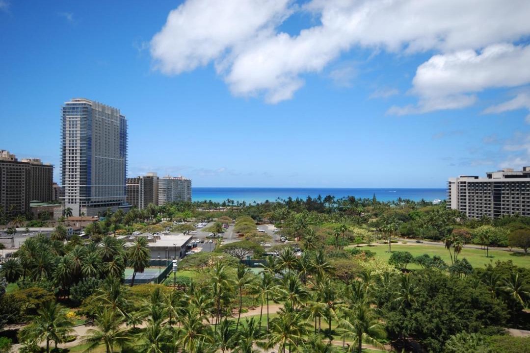 Photo of Others in Waikiki
