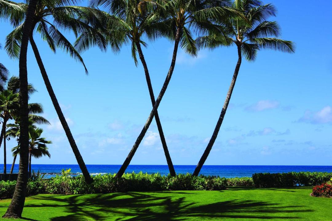 Photo of Others in Poipu