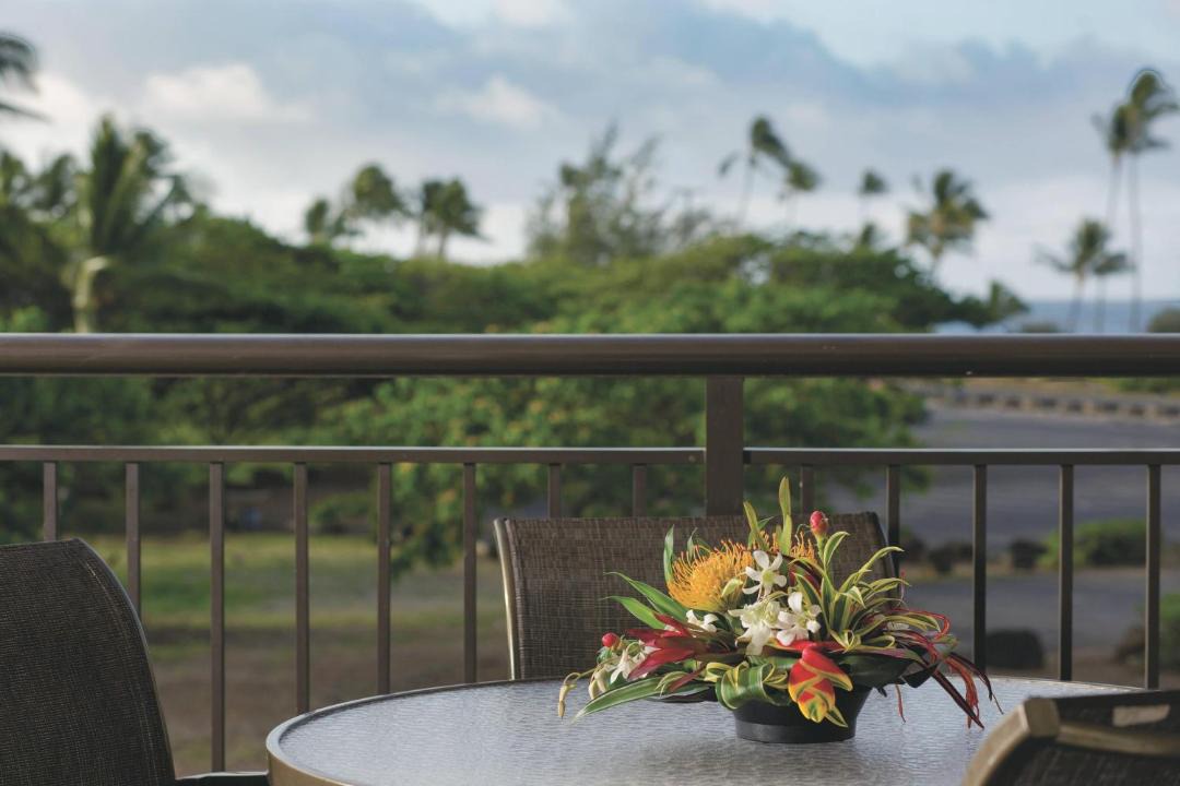 Photo of Others in Poipu