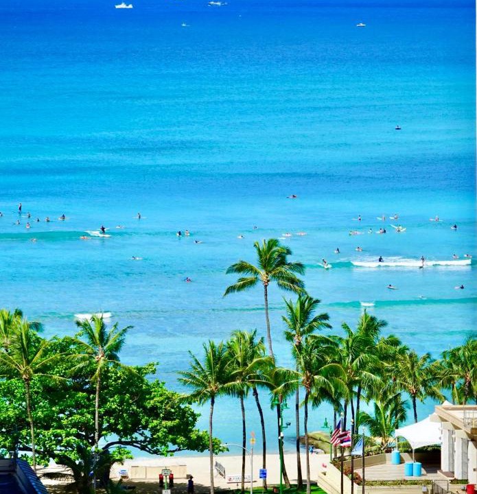 Photo of Others in Waikiki