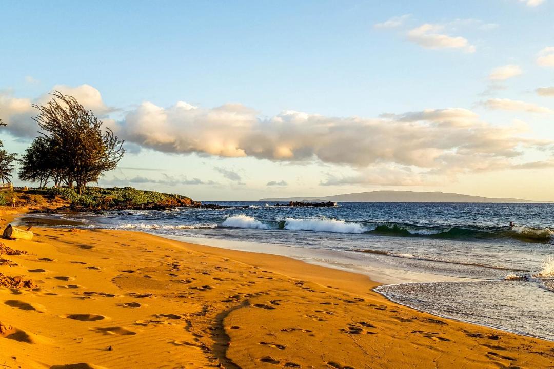 Photo of Others in Kihei