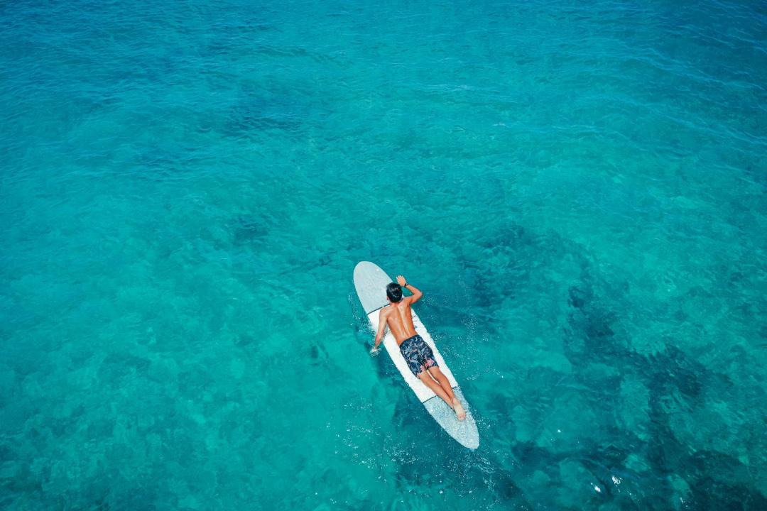 Photo of Others in Diamond Head - Kapahulu - St. Louis