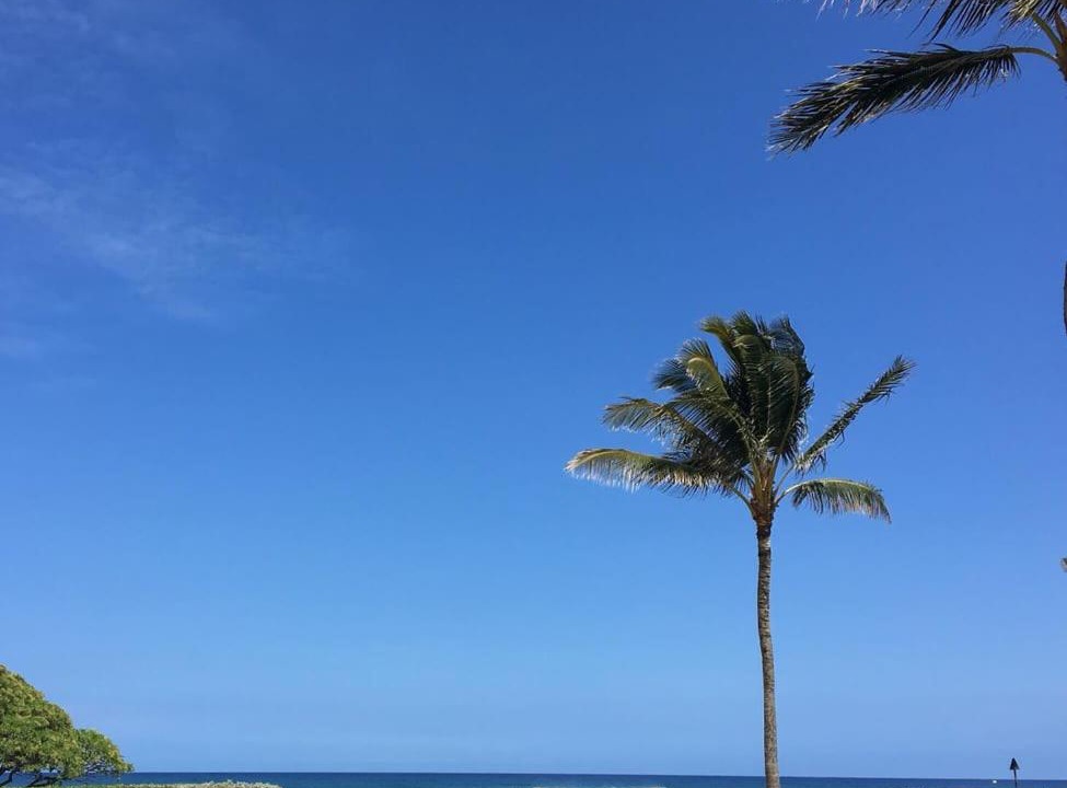 Photo of Others in Hanamaulu