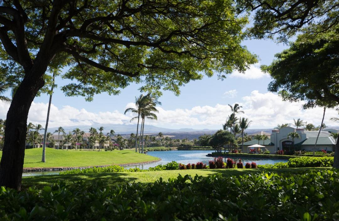 Photo of Others in Waikoloa