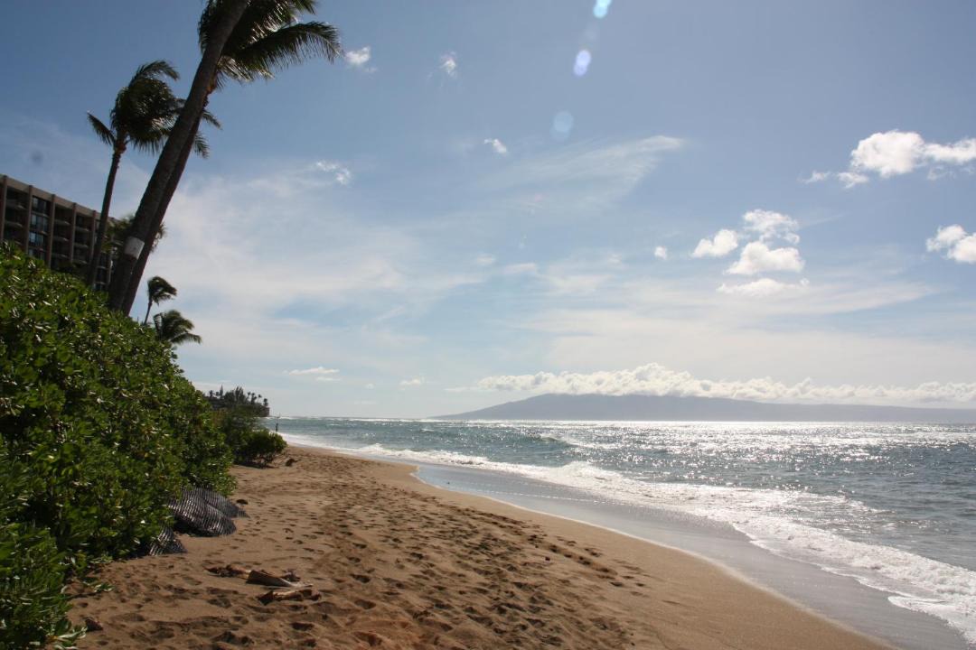 Photo of Others in Kahana