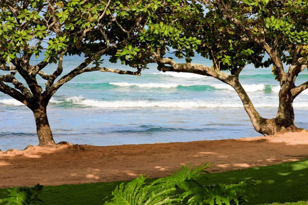 Photo of Others in Princeville