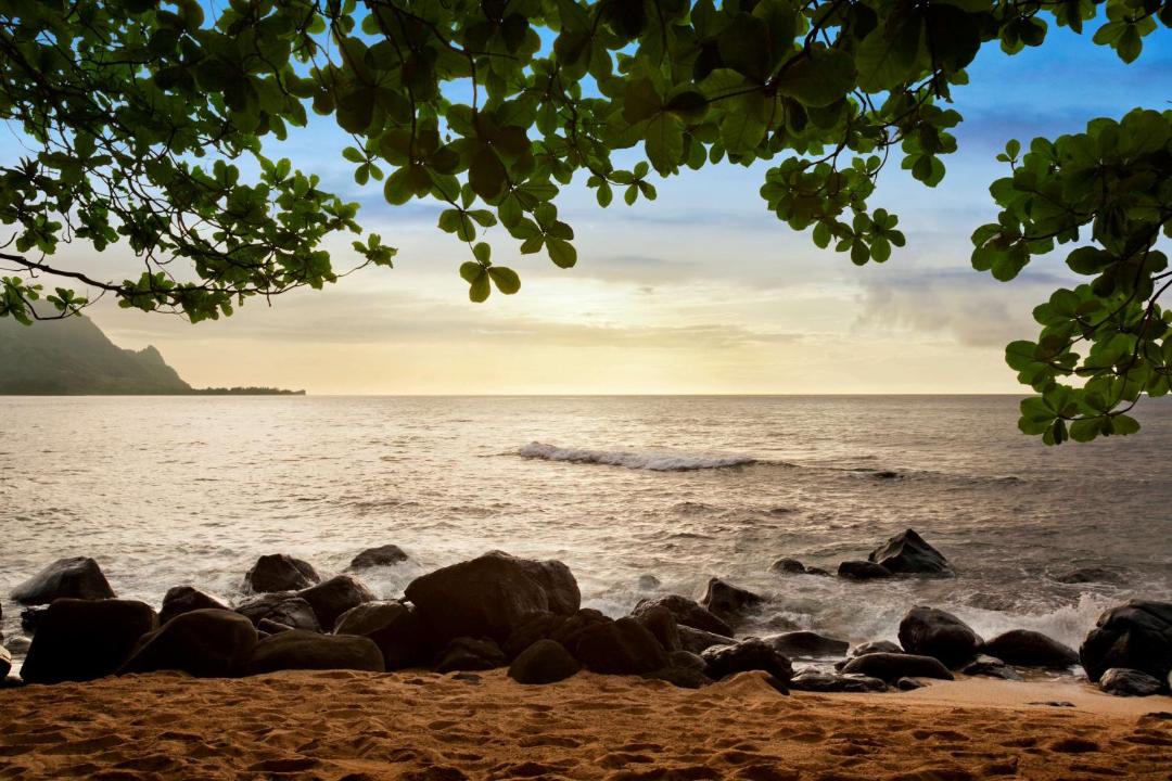 Photo of Others in Princeville
