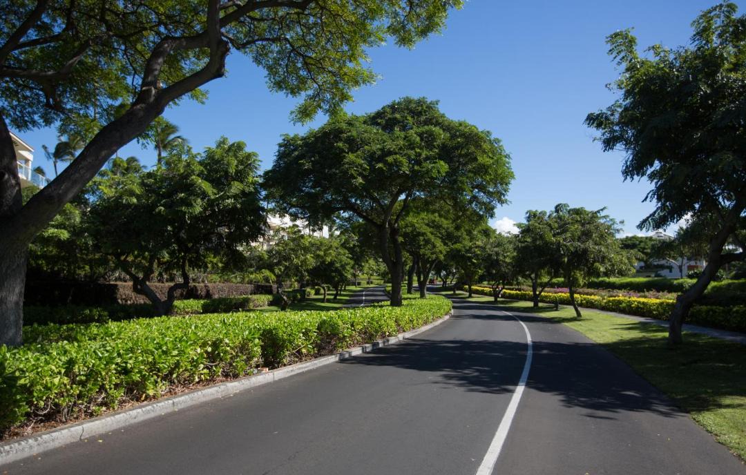 Photo of Others in Waikoloa