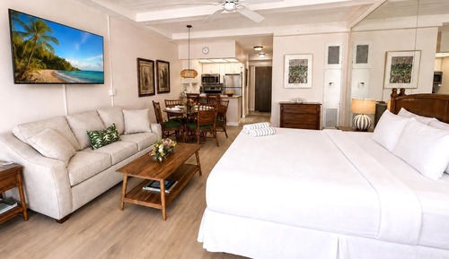 Condo (0 Bedroom)