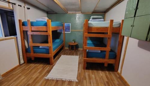 Bed in 4-Bed Mixed Dormitory Room