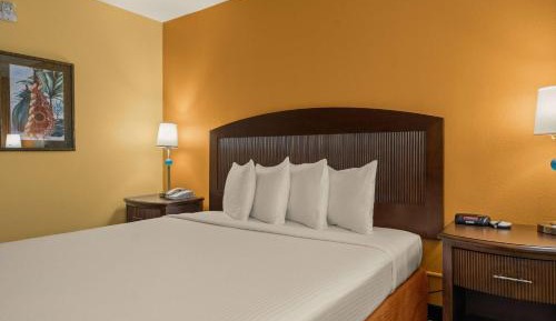 King Room with Bath Tub - Mobility/Hearing Accessible - Non-Smoking