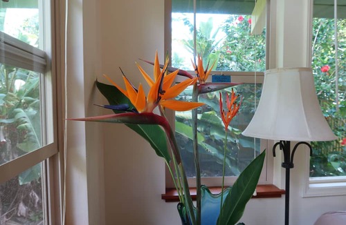 Kapaau Cottage | Hawaiian Tropical Garden Hideaway Cottage. Hawi /Kapaau