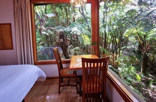 Volcano Cabin | The Pacifica Inn The Nene Room