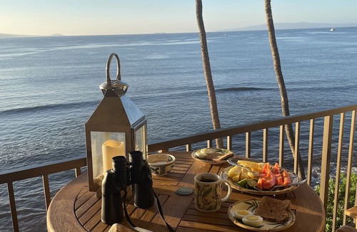 Maalaea Condo | OCEANFRONT - TWO OCEANVIEW bedrooms - 20 feet from water - Kanai a Nalu 401