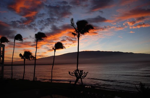 Maalaea Condo | Beautiful Oceanfront Maui Condo