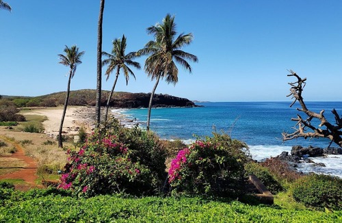 Maunaloa Condo | Molokai Lei Over Ke Nani Kai Unit 109