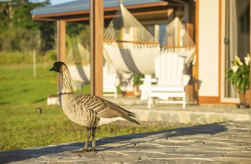 Hilo House | Recharge in a Self-Sufficient Ocean View Eco Village