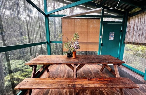 Eden Roc House | Pele’s Breath Cabin + Volcano Alerts