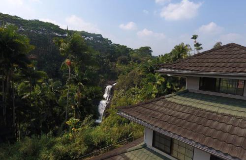 Hilo Hotel | The Inn at Kulaniapia Falls