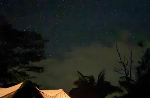 Kurtistown Other | Jungle Lux Glamping Private Tropical Escape