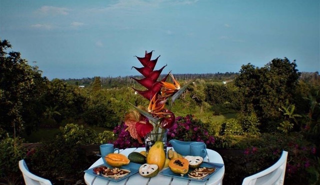 Stunning 180 degree Ocean Views 1 br/1 bath Studio on a 100% South Kona Farm